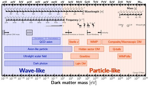 Weakly Interacting Massive Particle